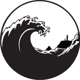 Logo Storm Surfing Association